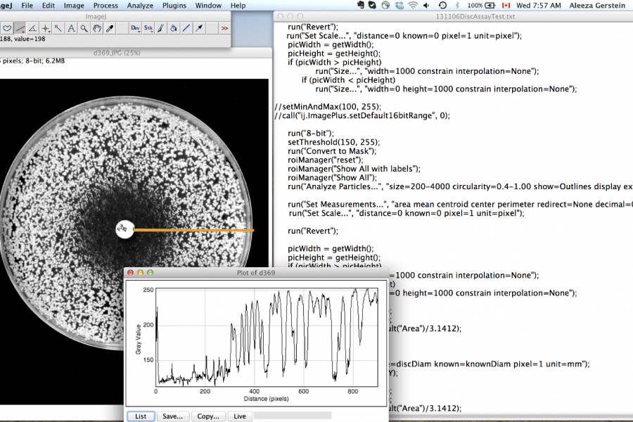 Computational microbiology