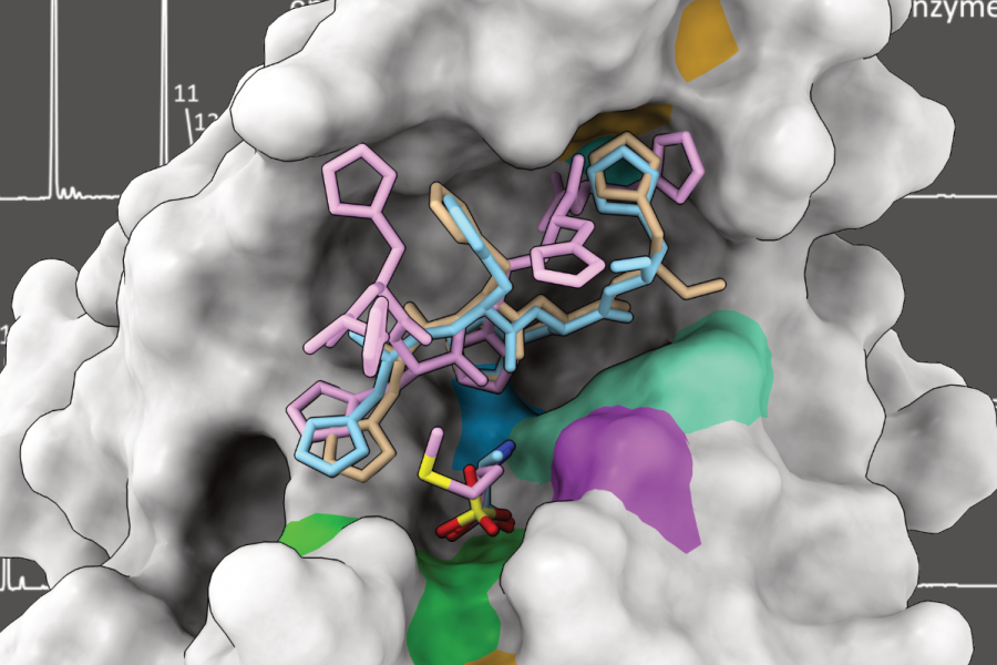 Structural biology