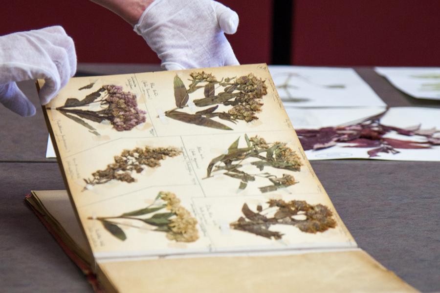a book with different types of plants