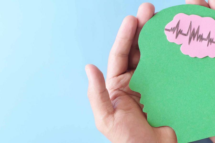 Two hands holding a green paper in shape of a side profile with a pink piece of paper in place of the brain.