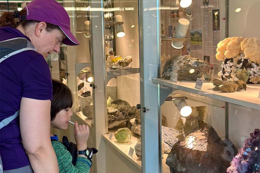 A kid and an adult looking at fossils behind a glass.