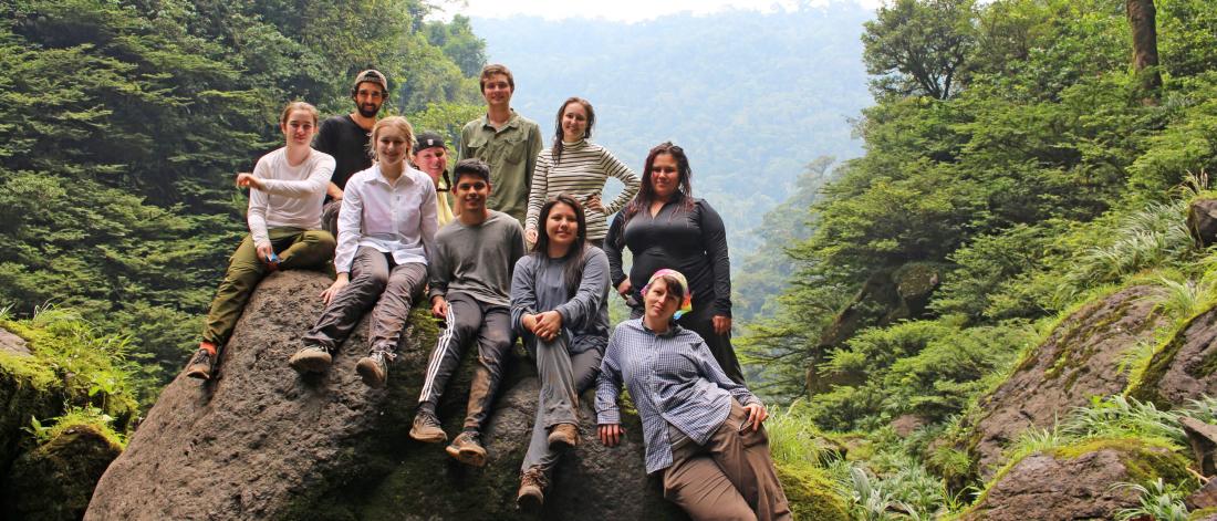 A group of students sit together on a large rock overlooking the Amazon rainforest.