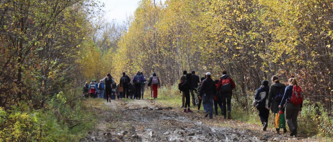 Students walking through forest 