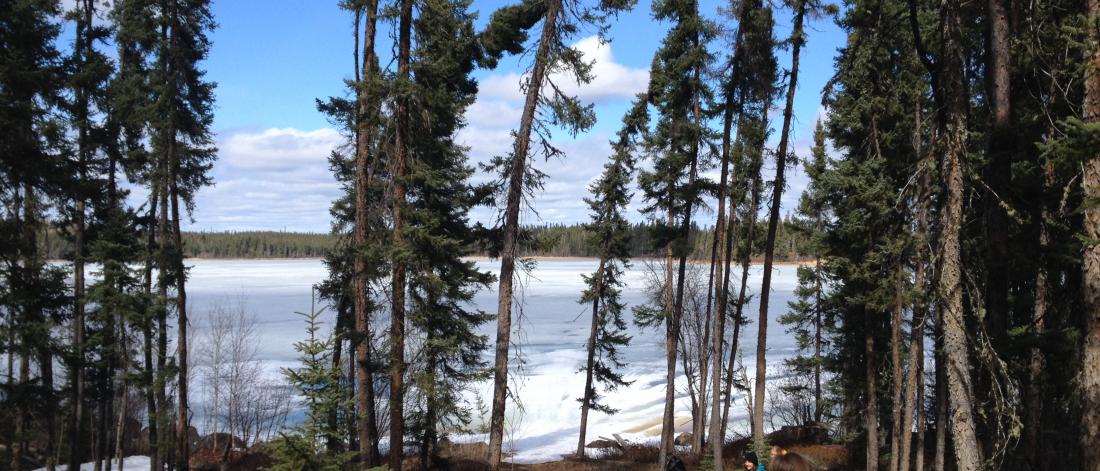 People hiking at leaf rapids in fall.