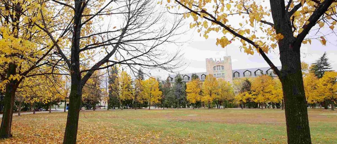 The Duckworth Quadrangle at the University of Manitoba.