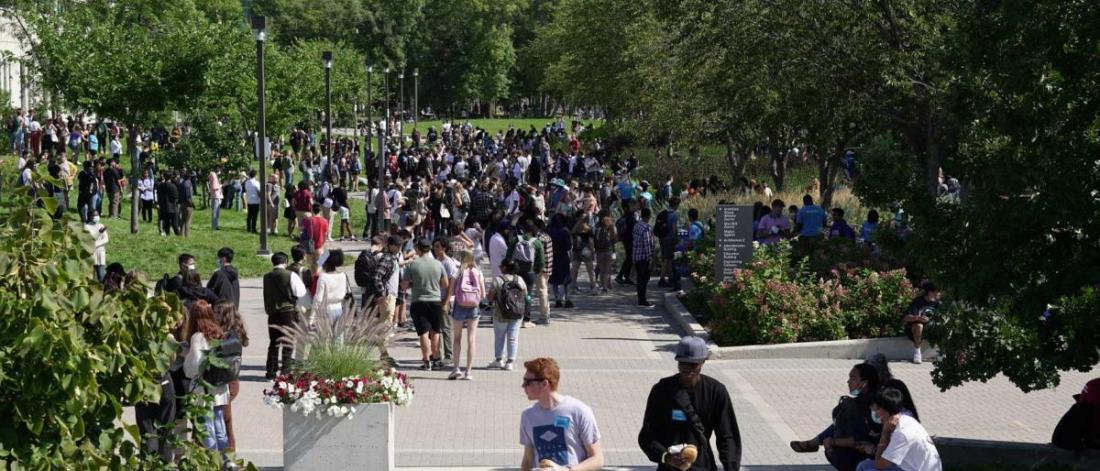 Students walking along the pedway