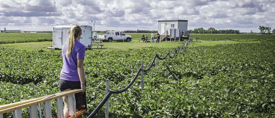 A student holds a ladder as she walks to a research trailer in a field.