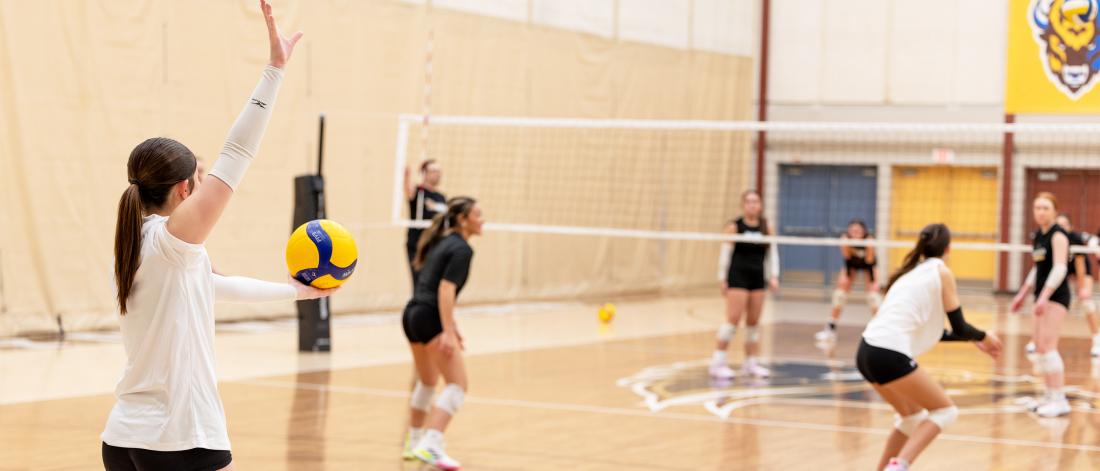 A volleyball player prepares to serve the ball.