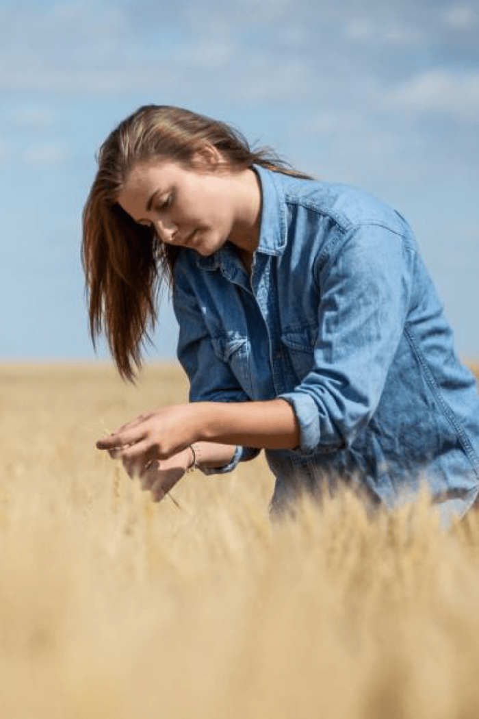 A young woman stands in a field of wheat and inspects the crop.