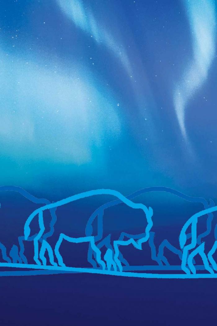 A design with blue bison walking underneath the Northern Lights.