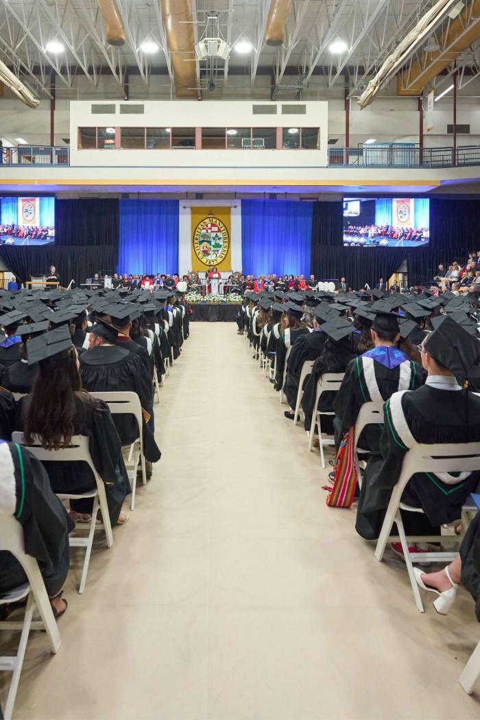 Graduates are shown from the back as they sit in a Convocation ceremony.