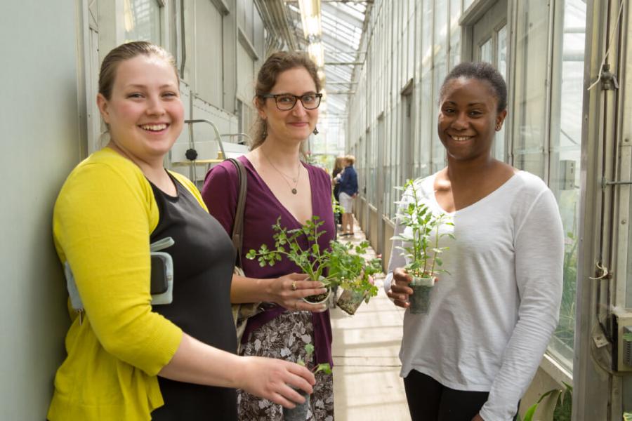 Three University of Manitoba staff holding plants in greenhouse