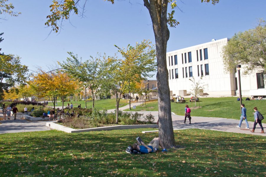 University of Manitoba student reading under tree on Fort Garry campus