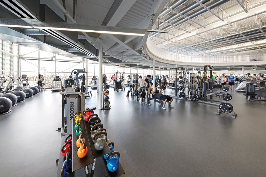 Active Living Centre members using the various weight machines and cardiovascular equipment.