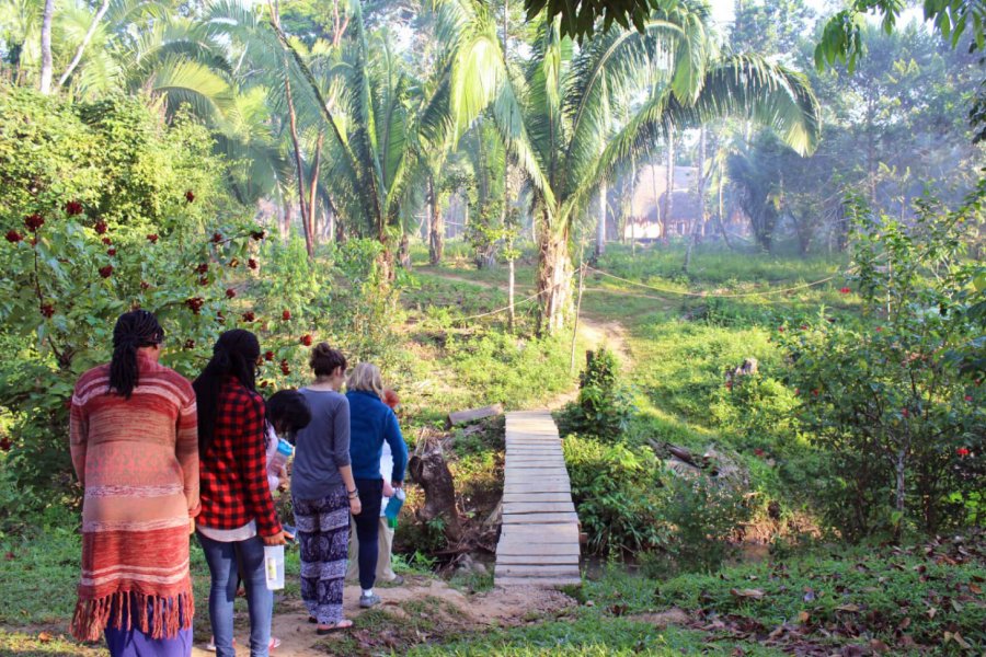 University of Manitoba students in the Maya Self-Determination program on a guided hike in the Toledo district of Belize.