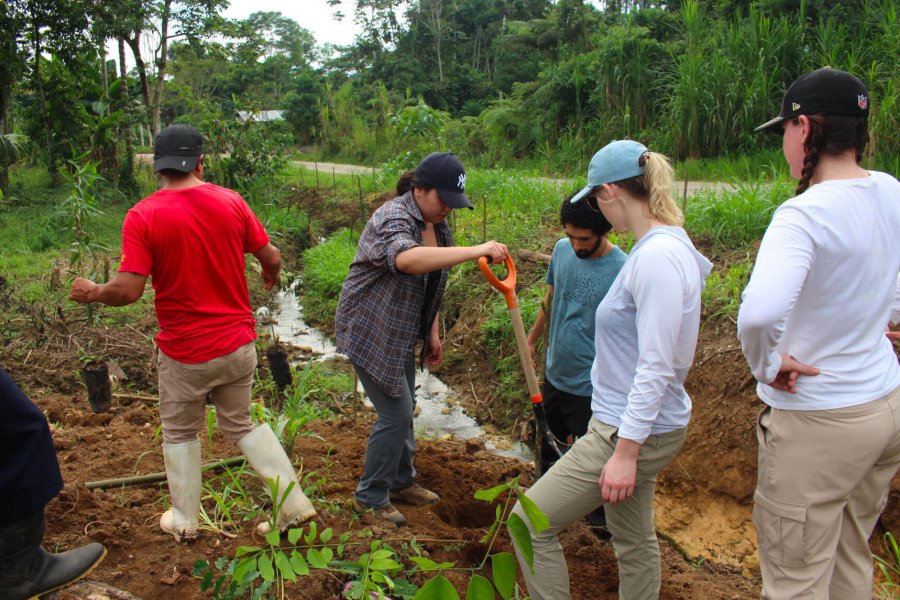 Students work together in the amazon planting trees.