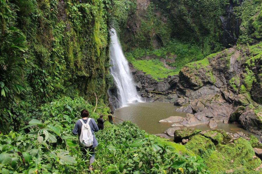A picturesque view of the Amazon rainforest with students hiking towards a waterfall.