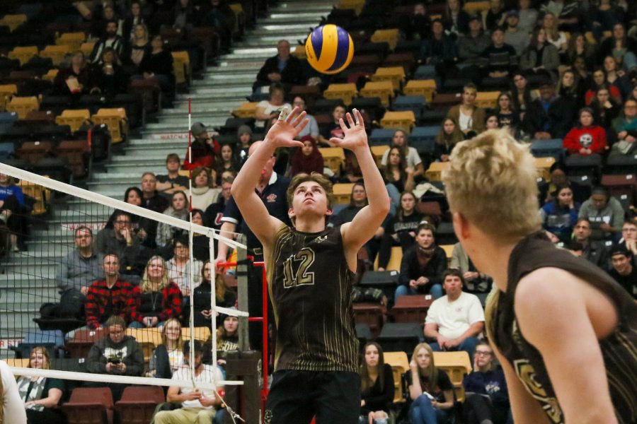 Bisons mens volleyball team