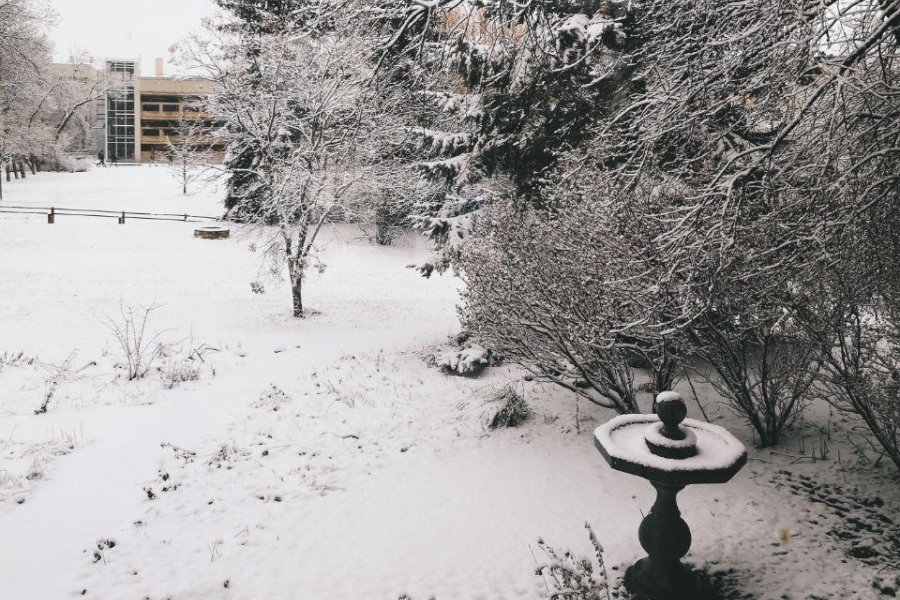 Snowy UM campus. 