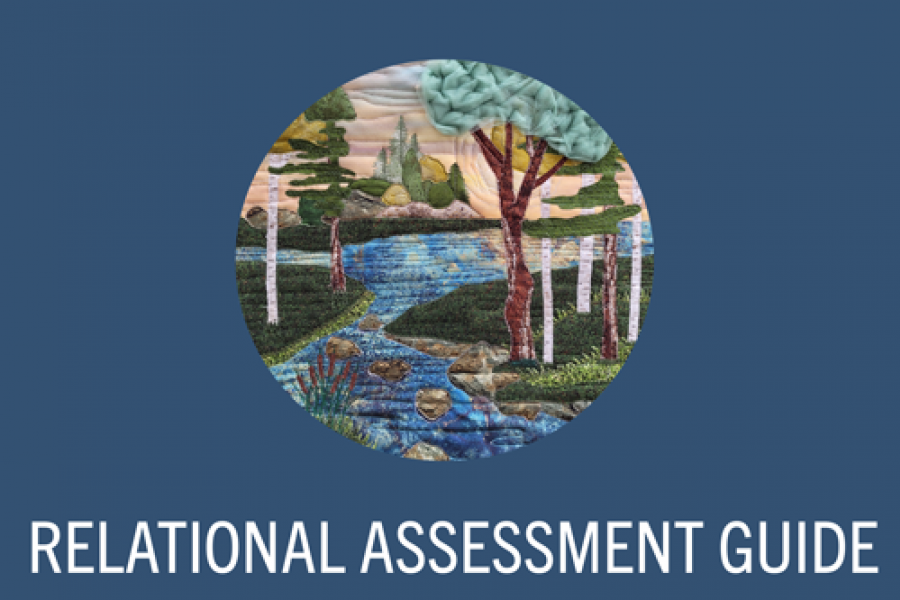 WIGW Relational assessment guide button