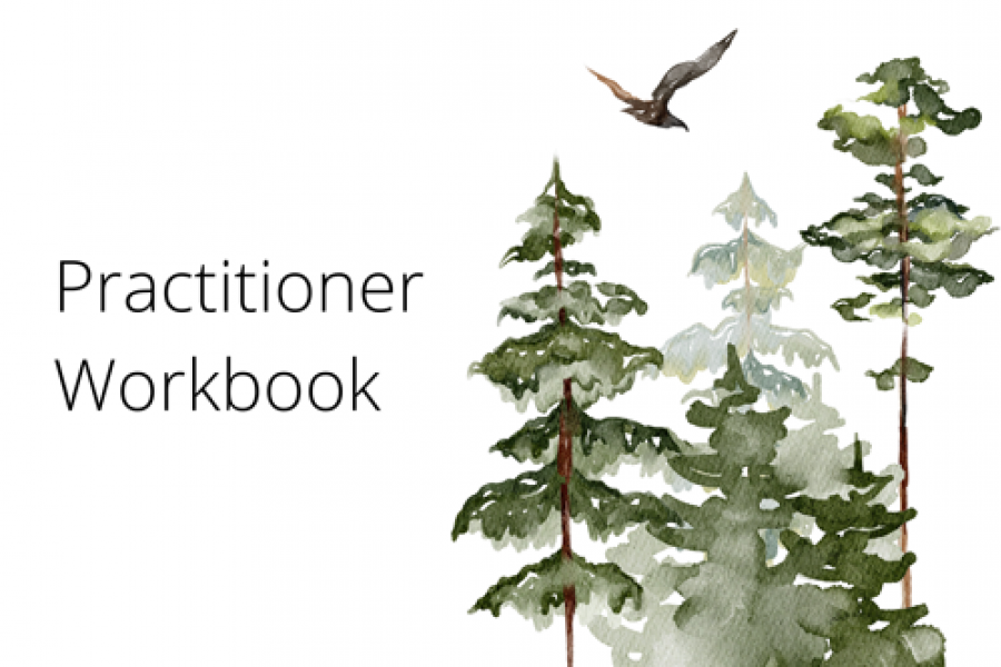 WIGW Practitioner workbook