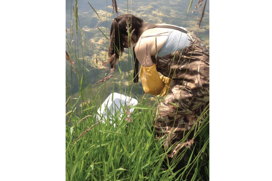 A student collects a water sample from the grassy edge of a body of water.