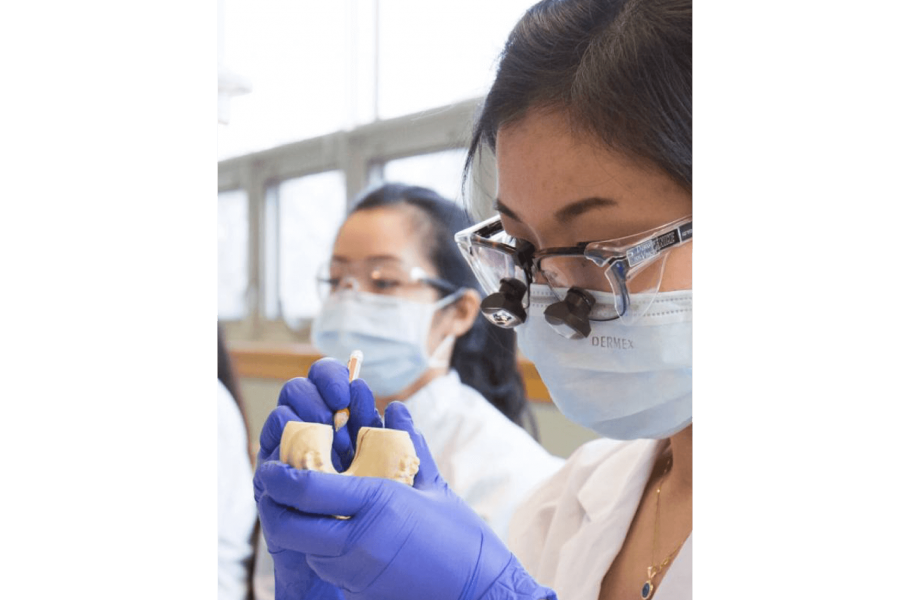 A dentistry student carefully works on a dental mold. 