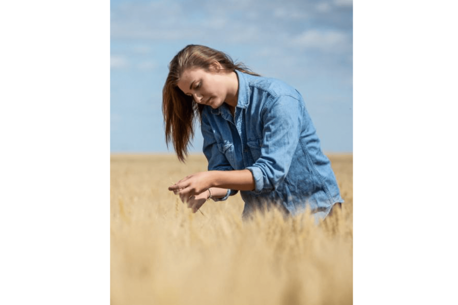 A young woman stands in a field of wheat and inspects the crop.