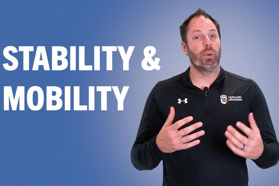 stability and mobility
