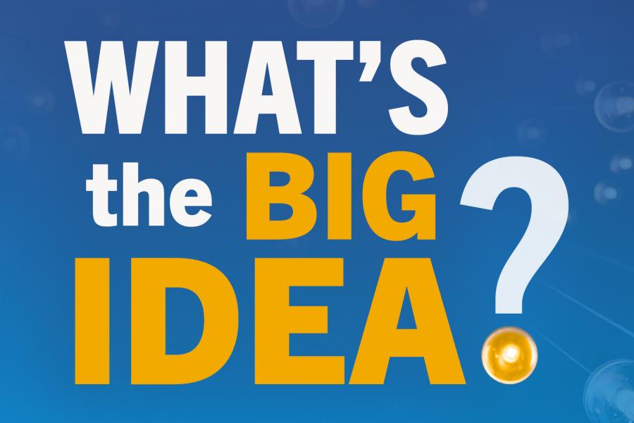 A graphic that says 'What's the big idea?'