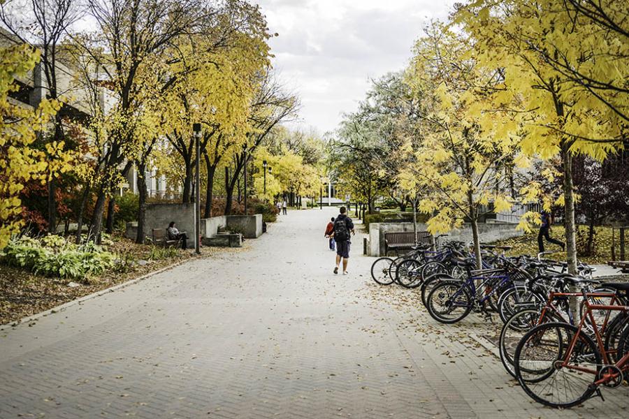 A pathway on UM's Fort Garry campus in fall.
