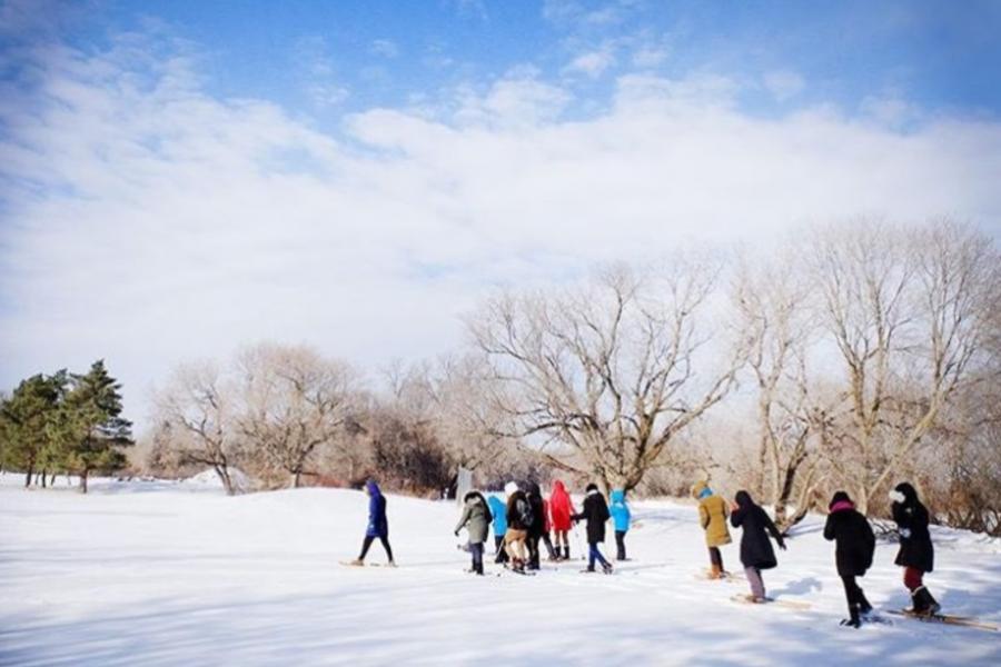 People taking a walk in Southwood Lands at the University of Manitoba.