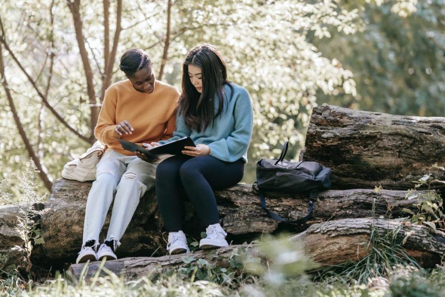Two students sit on a fallen tree in a sunny outdoor setting while looking at a black binder together.
