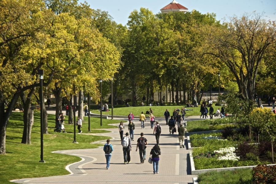 People walk down a paved pathway on the UM campus surrounded by green trees and grass.