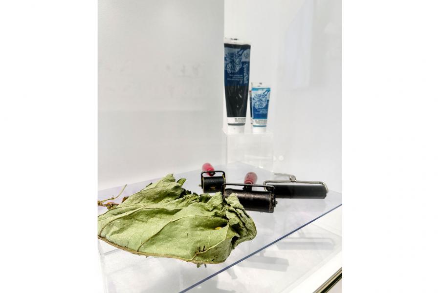 A large leaf on a counter top with three paint rollers and two bottles of paint behind. These items will be used to create prints of the leaf on paper.
