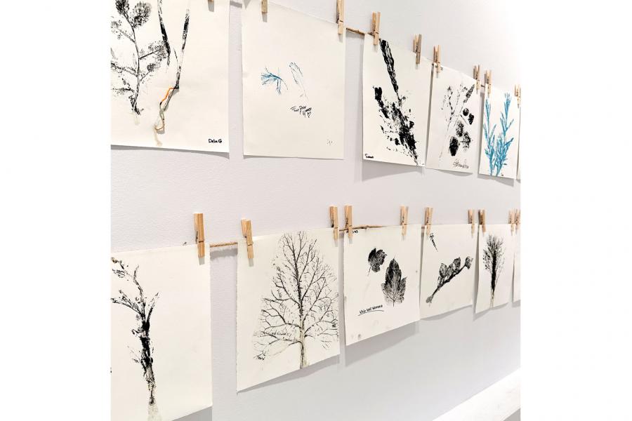 Plant art prints, hung like clothing on a washing line, on two cords with wooden clothes pins strung along the exhibition wall.