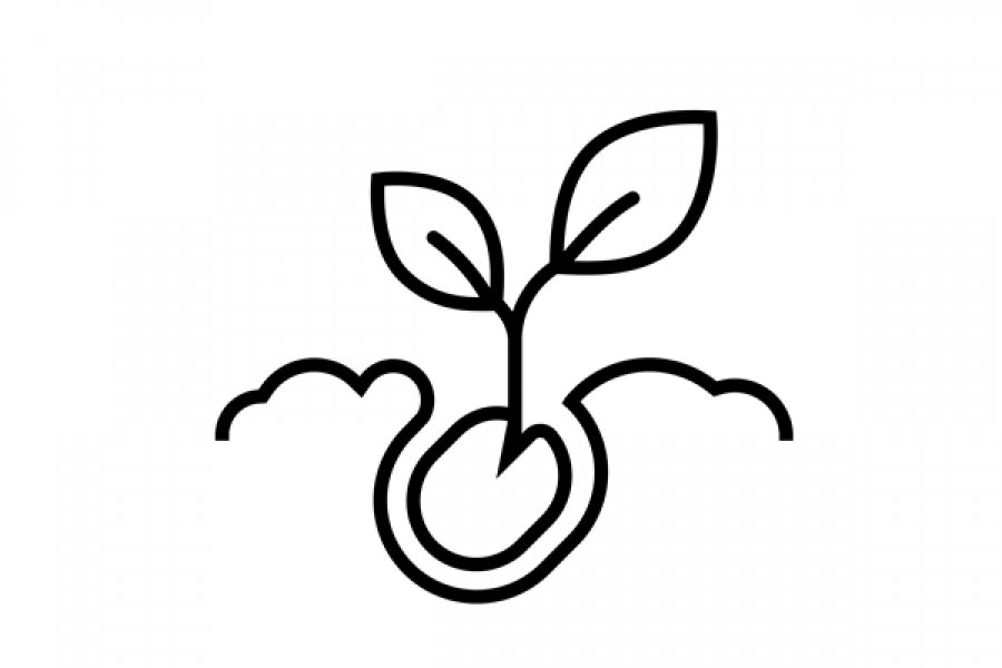 A sprouting seed outline, a visual representation of the Stage 1: Exploring.