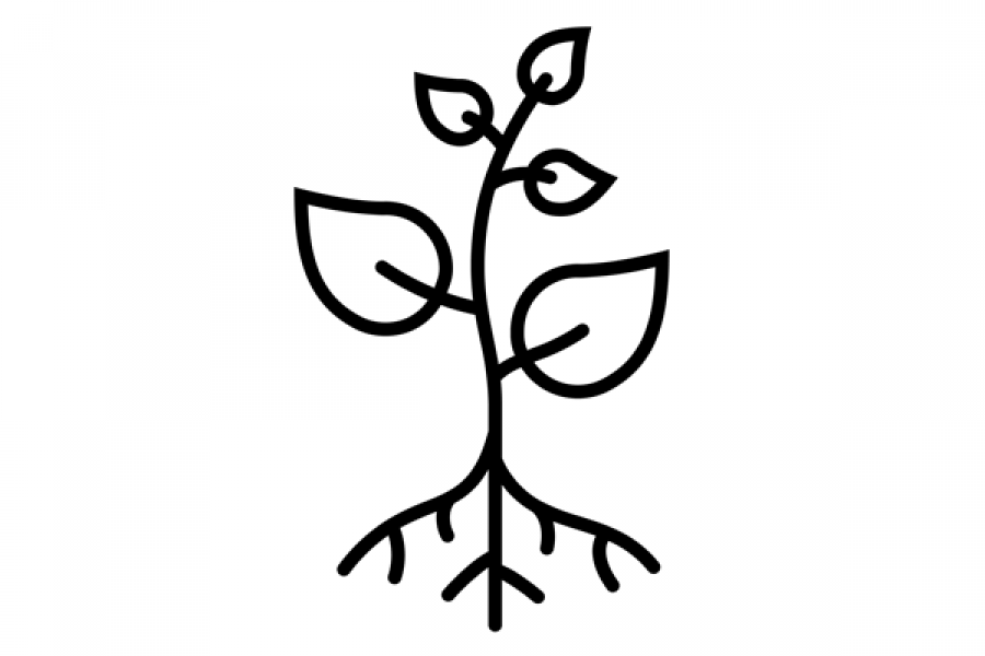 A plant with roots outline, a visual representation of the Stage 2: Expanding