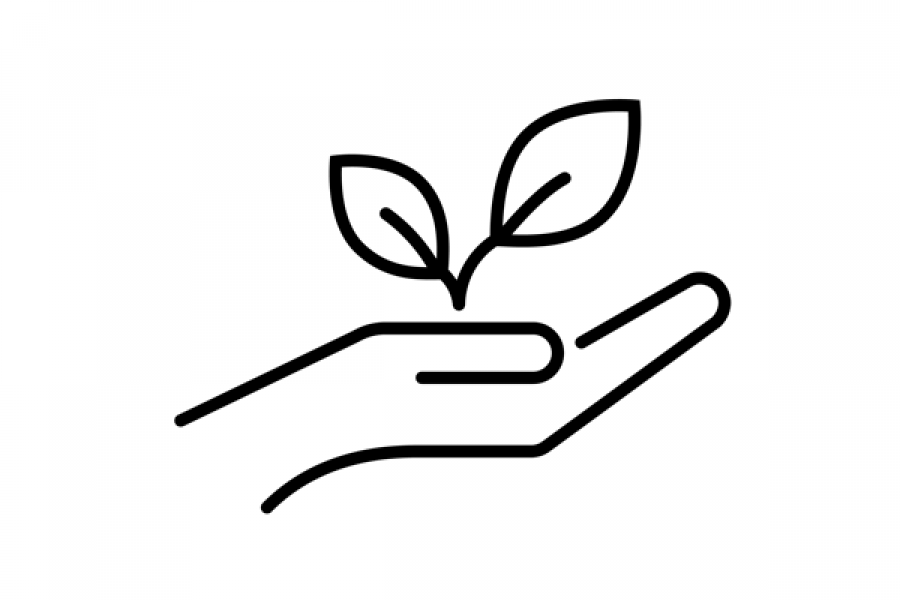 An open hand with a seedling outline, a visual representation of Stage 4: Advancing