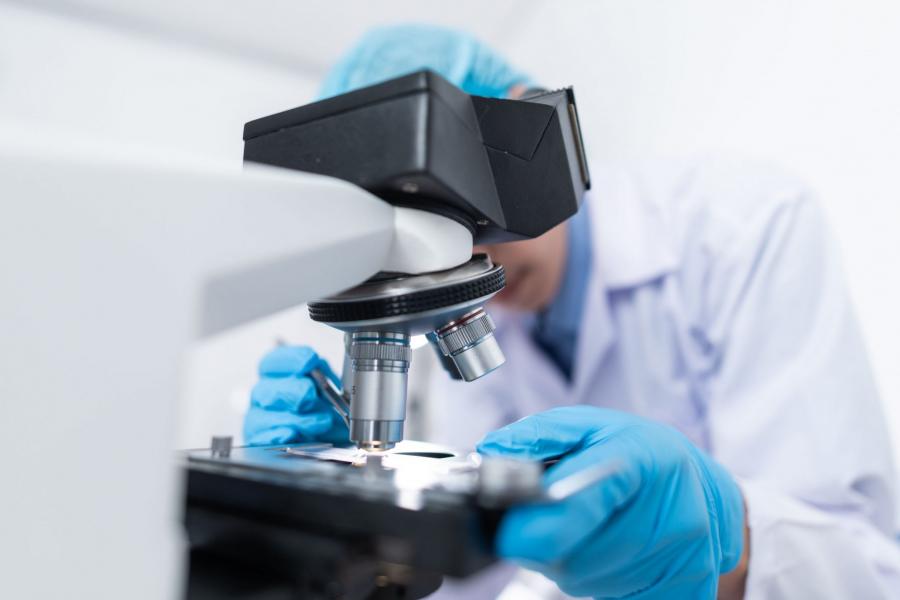 a scientist looks into a microscope.