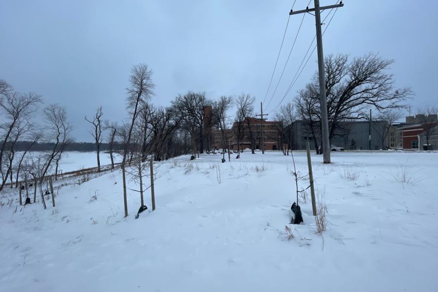 The future site of the Garden for Wellbeing on the Fort Garry Campus in winter.