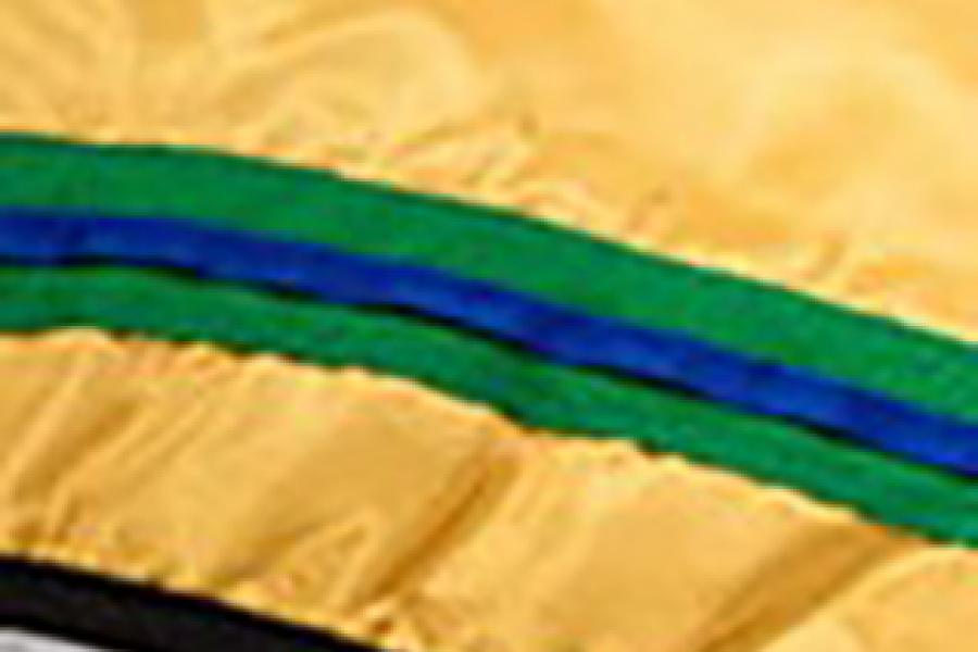 A black graduation hood with a gold-yellow lining and a blue braid in the middle of a green braid.