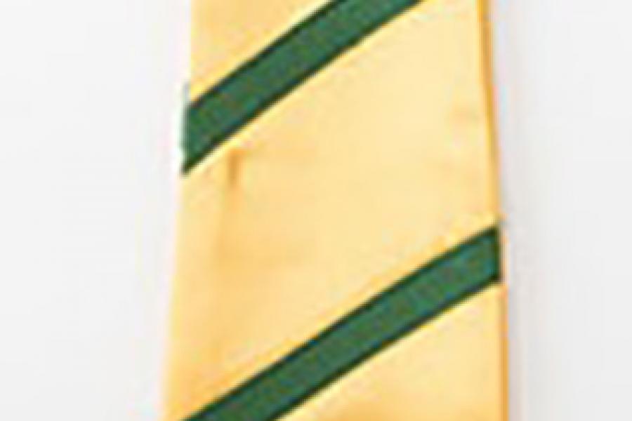 A gold-yellow coloured graduation stole with a green braid.