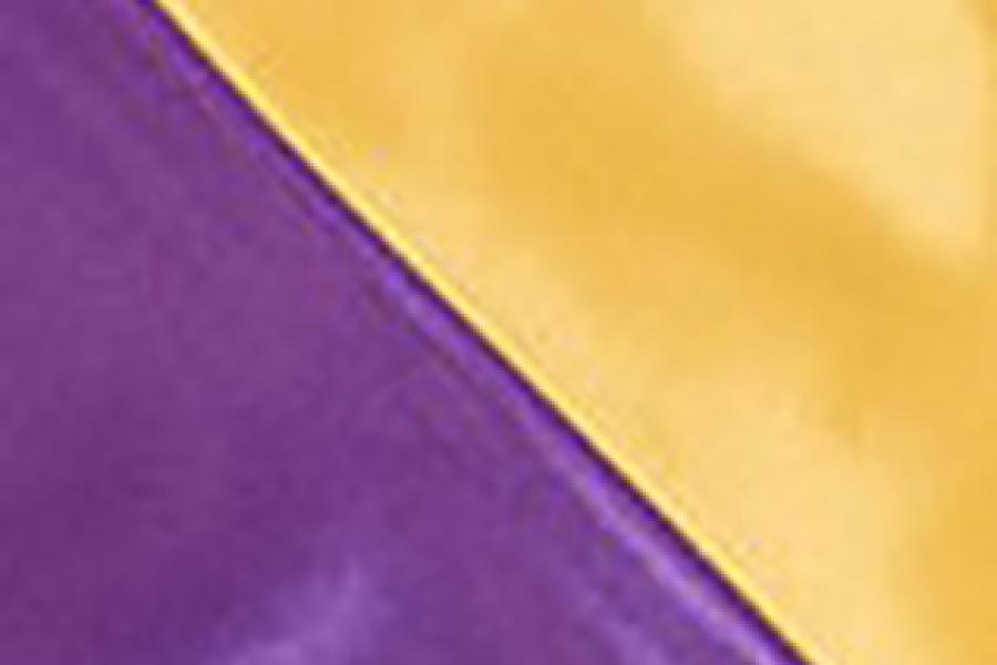 A graduation hood with a purple lining, and a pale gold chevron.