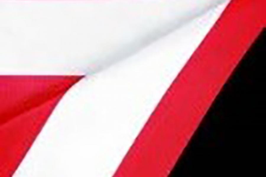 A graduation hood with a coral lining, and a white band.