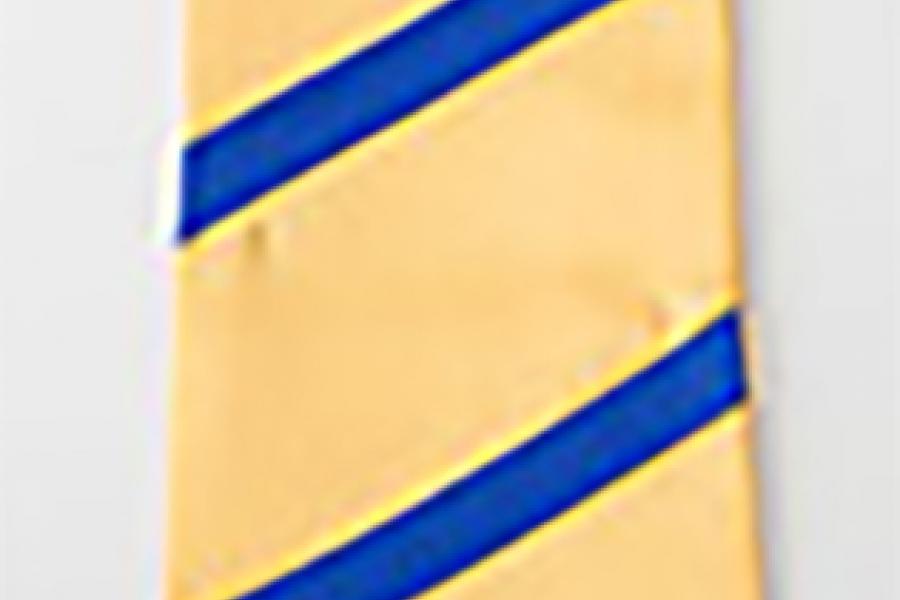 A gold-coloured graduation stole wit a royal blue braid.