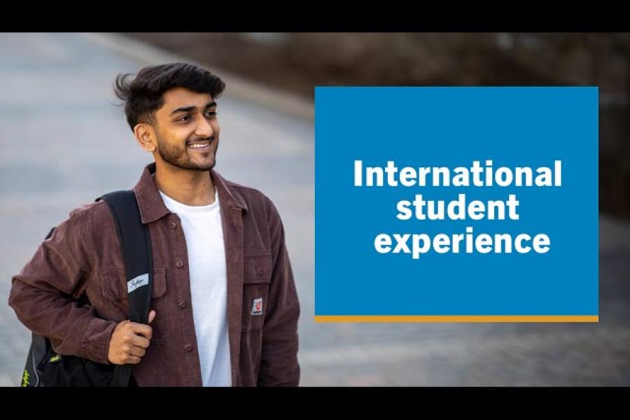 International student experience