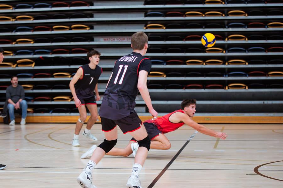 A player digs the ball at Central Showdown volleyball tournament in March 2026.