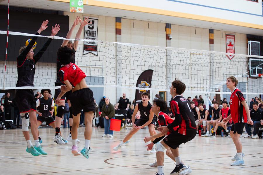 A player jumps to block a play during Central Showdown volleyball tournament in March 2026.