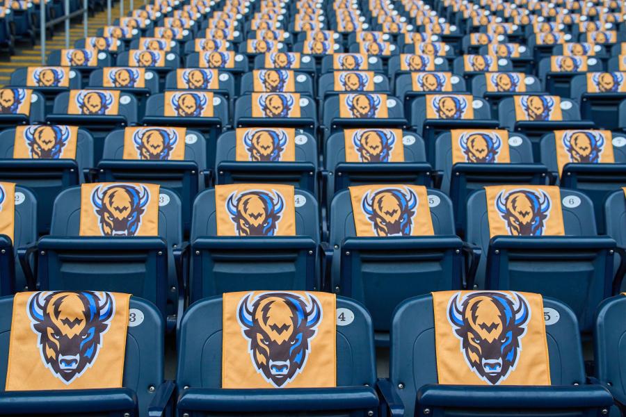 Bisons towels